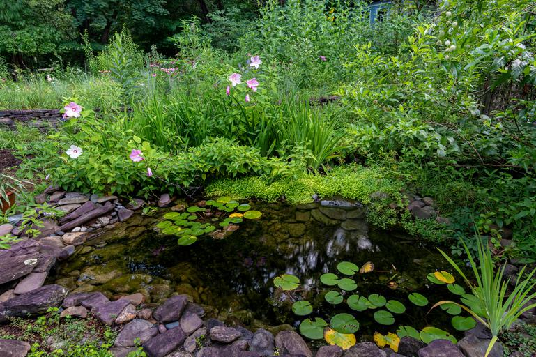 Essential Materials For A Successful Home Pond Installation