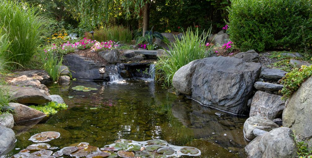A StepByStep Guide To Building Your Own Backyard Pond