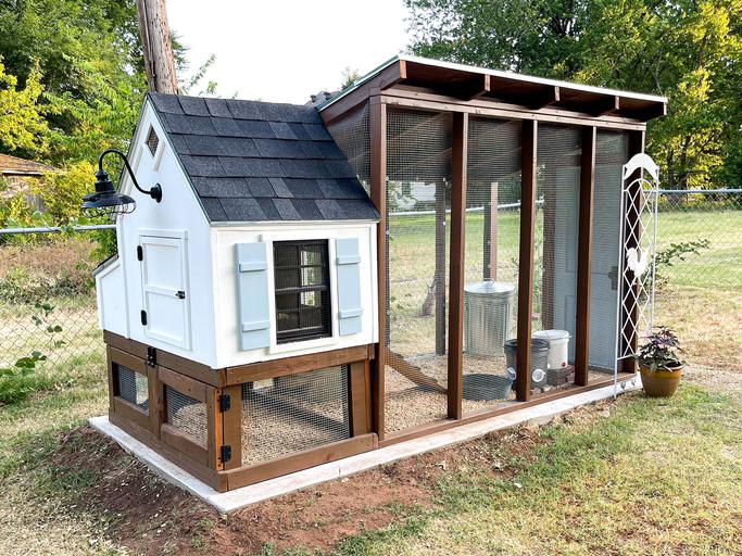 Your Guide To Building A Diy Chicken Coop For Your Backyard