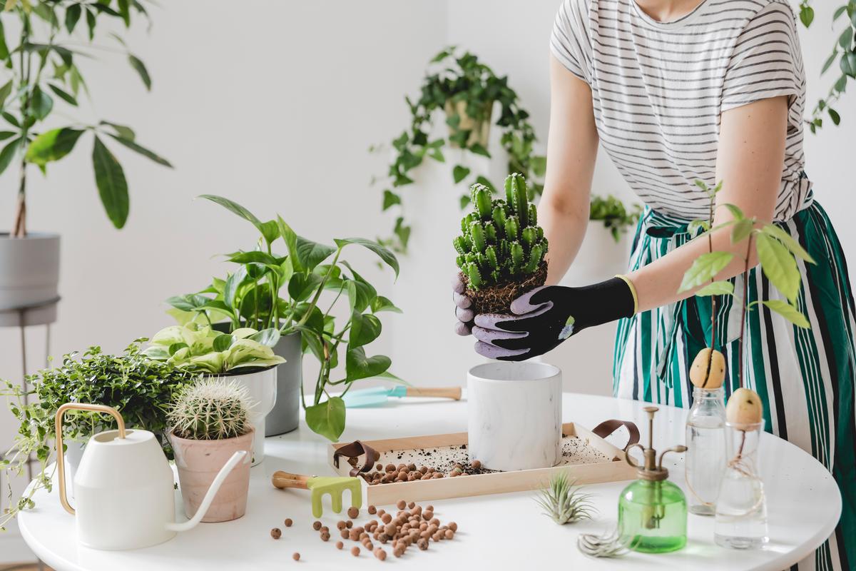 5 Eco-Friendly Home Decor Ideas To Add A Touch Of Spring To Your House