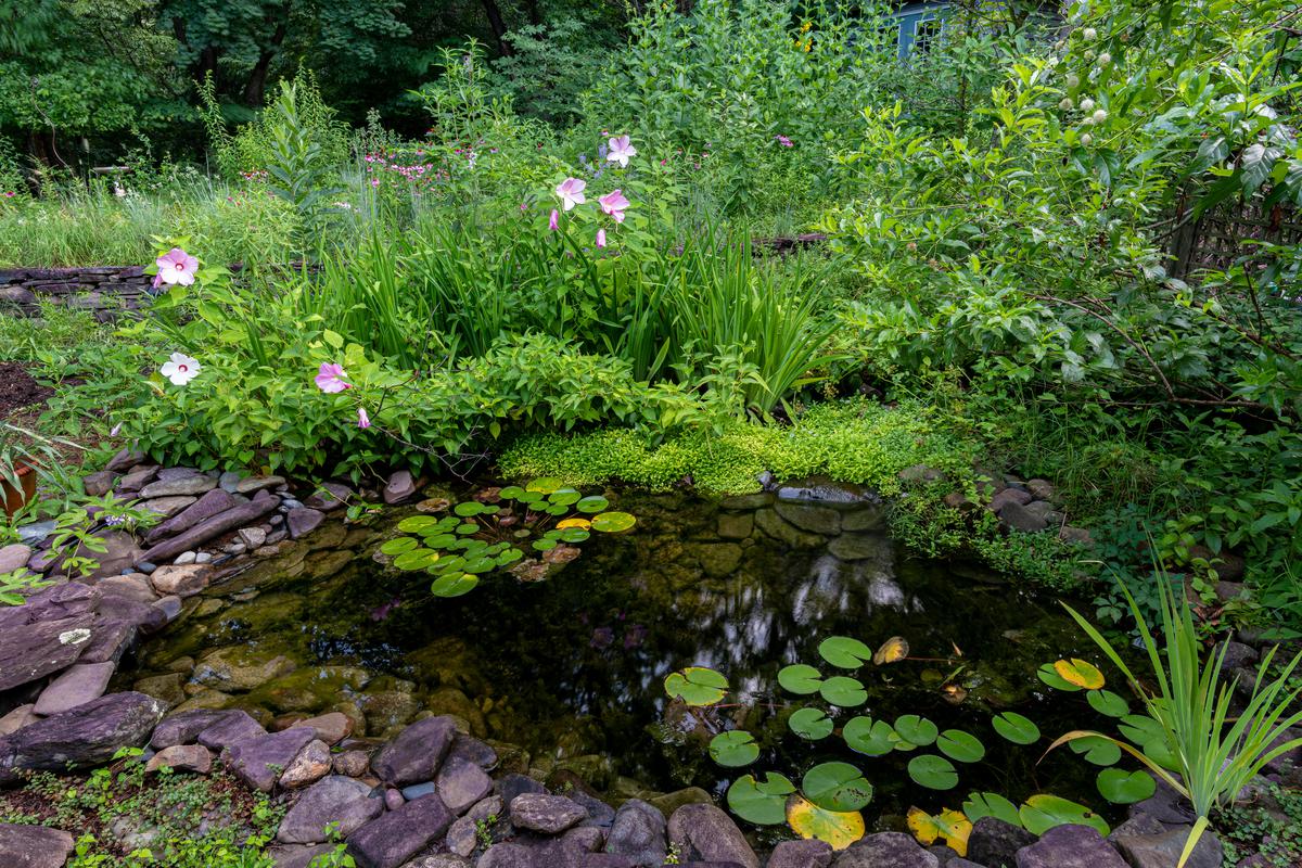 Essential Materials for a Successful Home Pond Installation