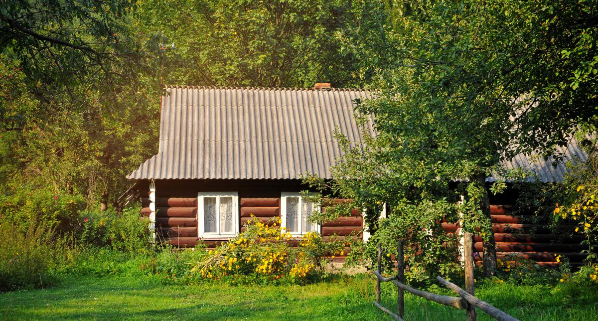 Homesteading: What Is It and Where Should You Do It?