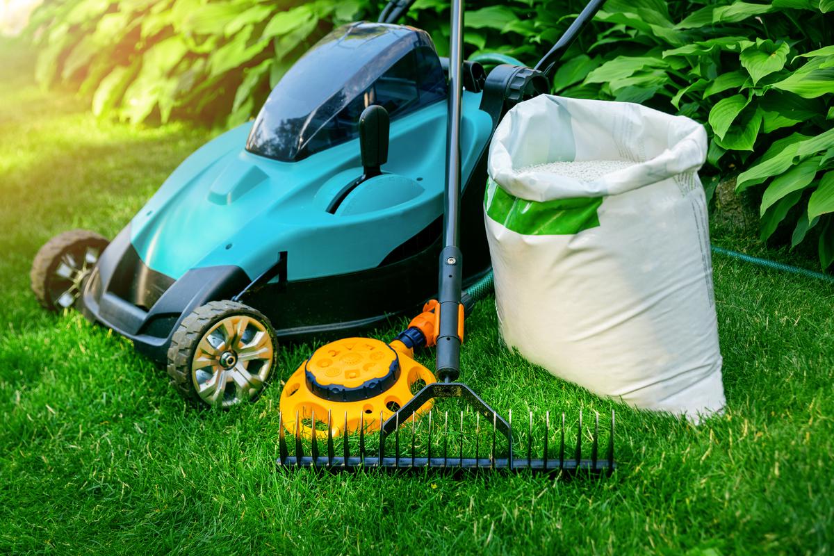 Common Backyard & Lawn Problems and How to Deal with Them