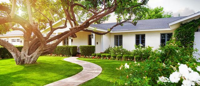 Creative Front Yard Landscaping Ideas to Transform Your Home's Curb Appeal