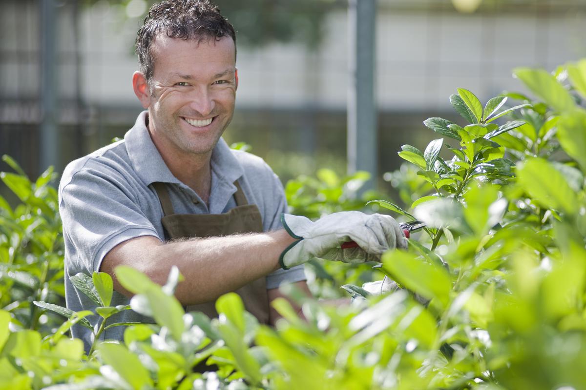 What Is a Master Gardener And When You Might Need One?