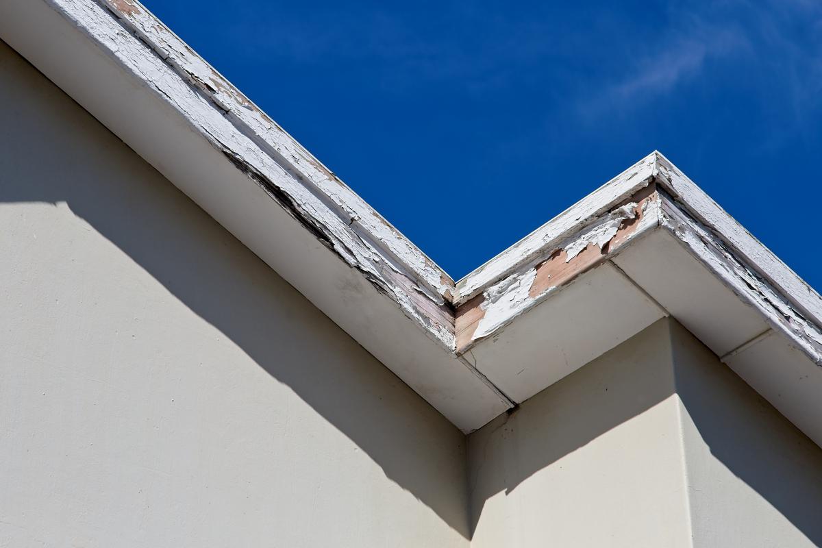 How to Prevent Wood Rot In Your Home