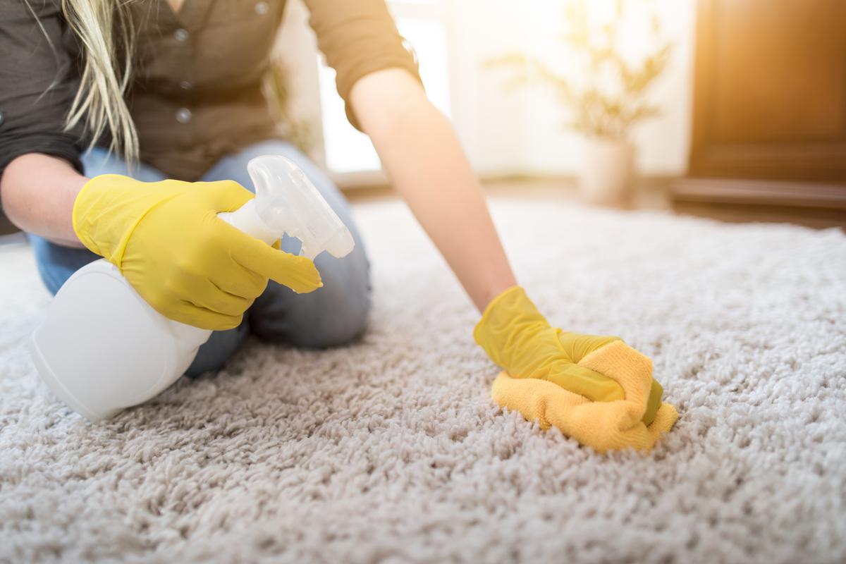 How to Properly Clean Your Carpet