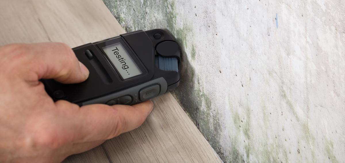 How to Test for Mold: A Comprehensive Guide