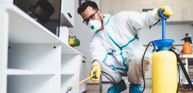What Is a Pest Control Technician and When You Might Need One