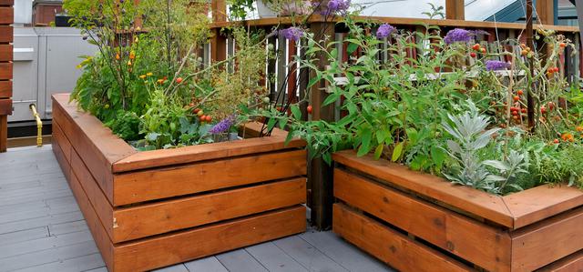 Elevate Your Gardening: Creative Raised Garden Bed Ideas