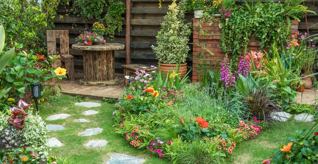 Rare Flowers for Your Garden: Adding Unique Blooms to Your Landscape