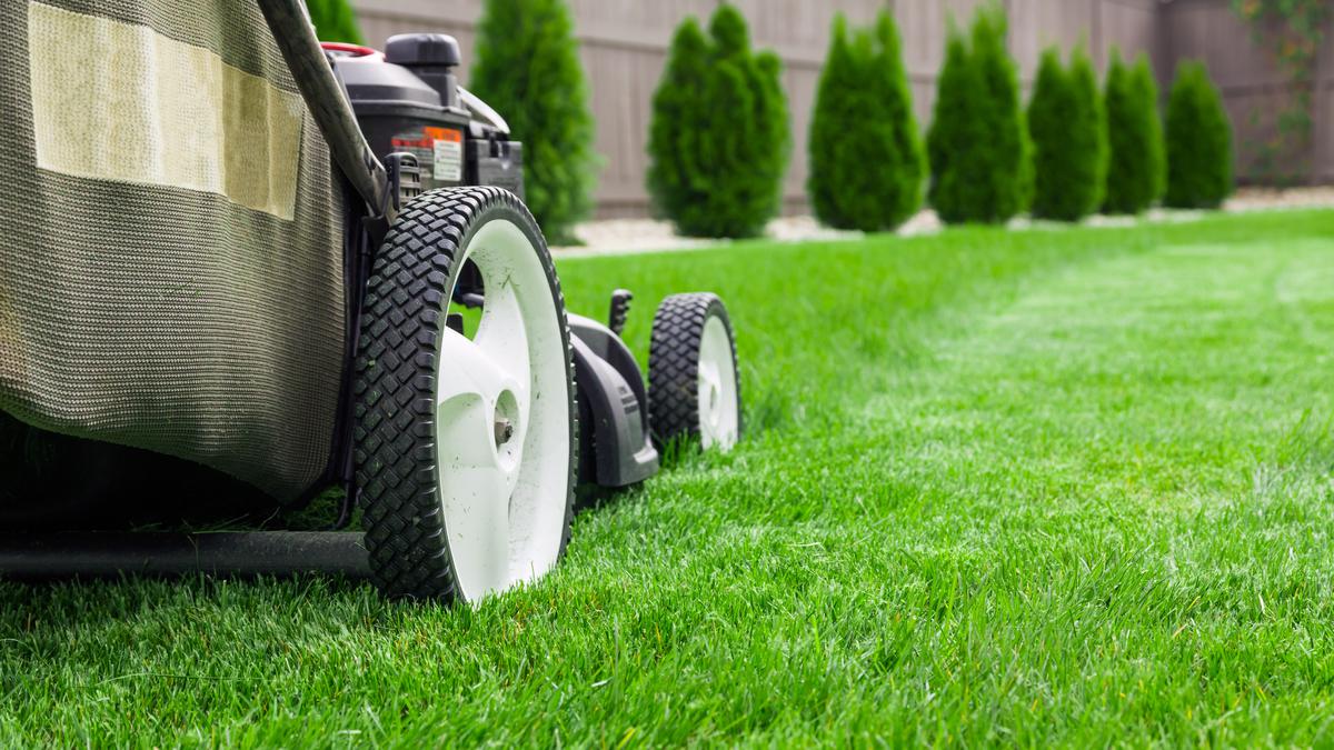 Tips on How to Take Care of Your Lawn