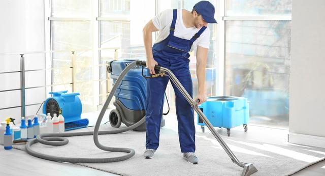 Unraveling the Mystery: What Causes Carpet Beetles in Your Home?