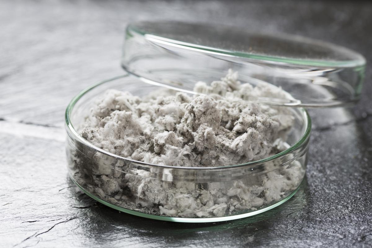 Monthly Maintenance Reminder: Asbestos Mitigation
