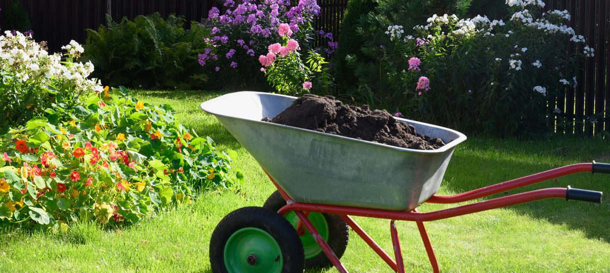 The Surprises of Fertilizing Your Lawn: What Every Homeowner Needs to Know
