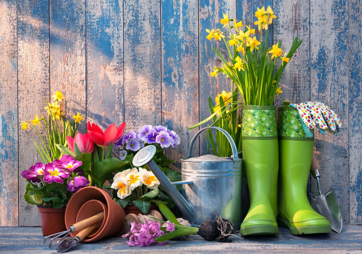 9 Reasons Why You Should Start Gardening