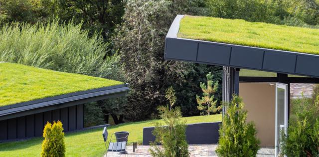 What Goes into Creating a Green Home