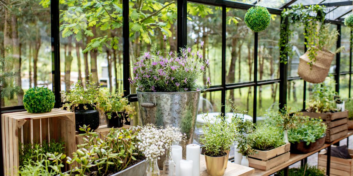 The Benefits of Building a Greenhouse for Your Home