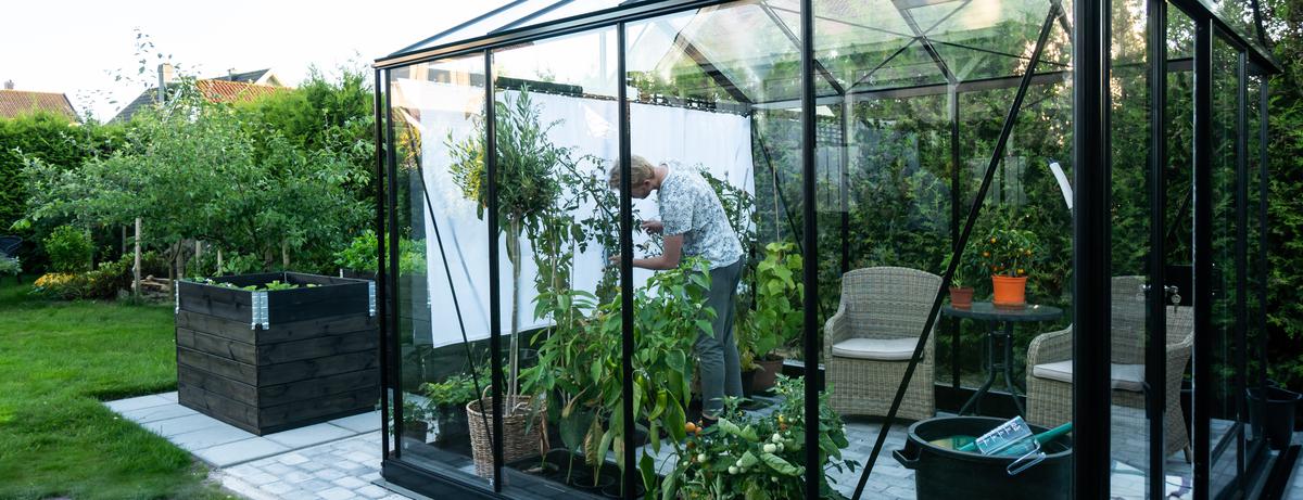 What to Expect When Building a Greenhouse: Surprises and Lessons Learned