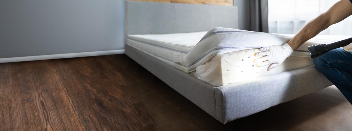 The Unexpected Surprises of Hiring a Pest Control Company