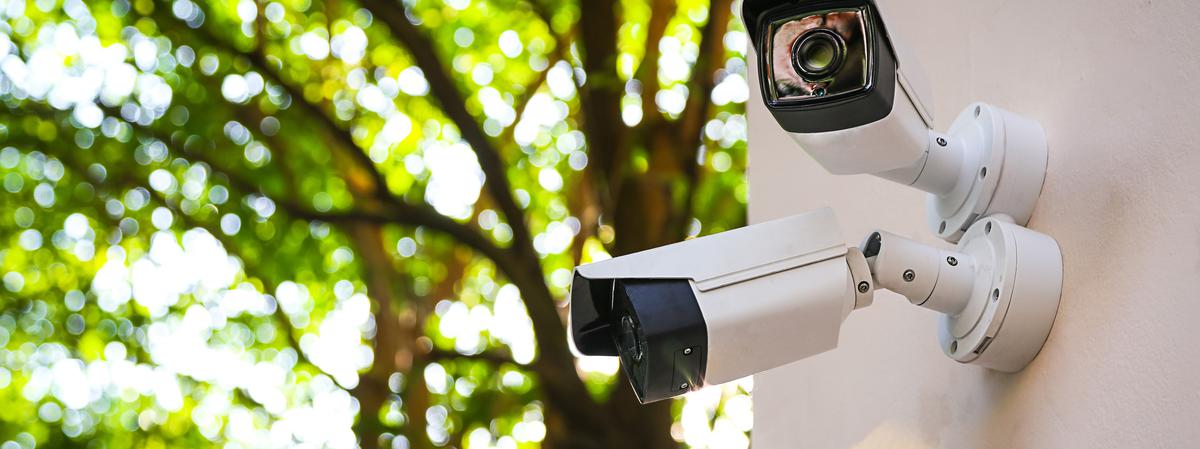Home Security Options: What Materials Do You Need to Consider?
