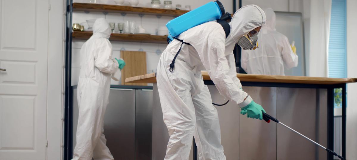 How to Get Rid of Carpenter Bees: A Comprehensive Guide