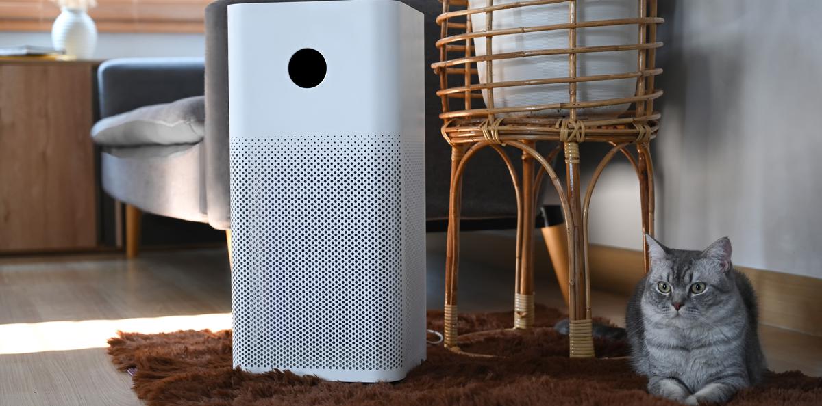 Elevate Your Sleep With Humidifiers for Bedrooms