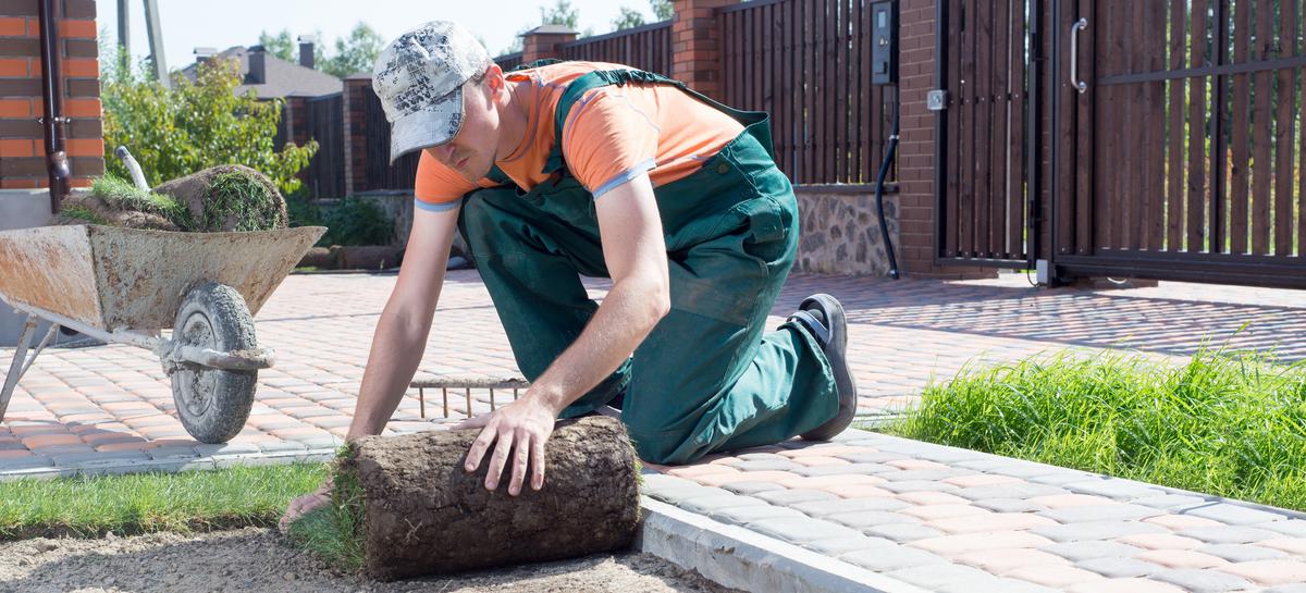 The Top Surprises Homeowners Experience When Installing New Sod