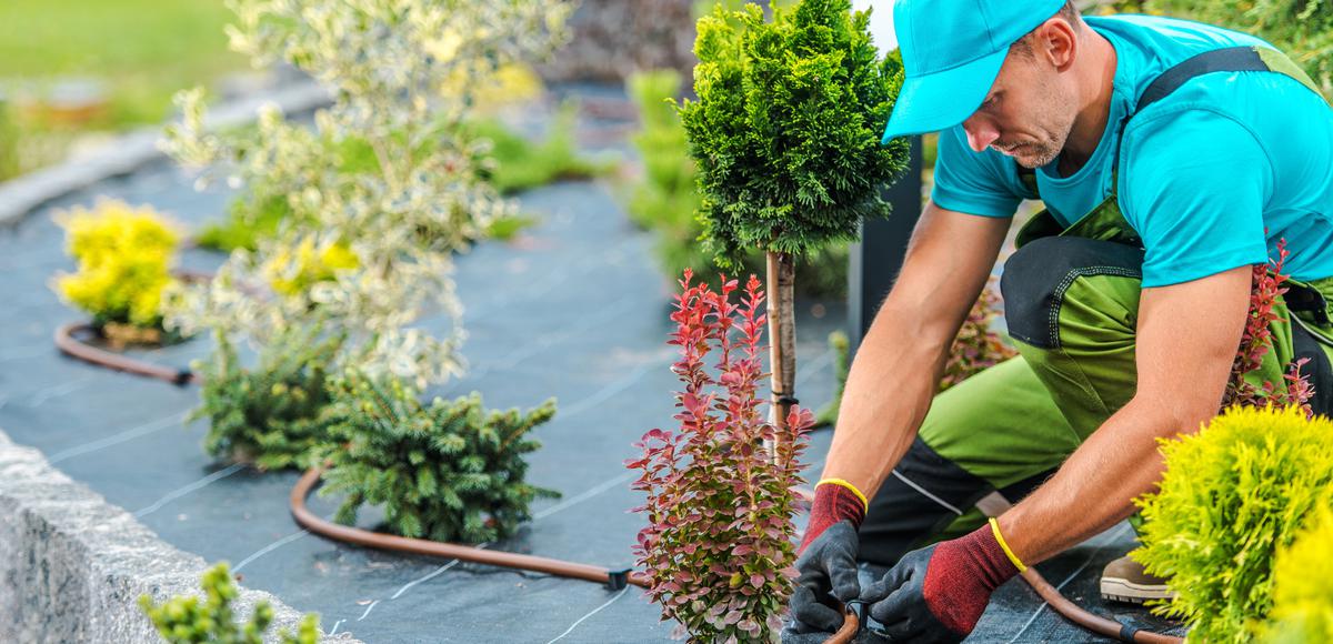 The Top Surprises You'll Encounter When Installing New Irrigation