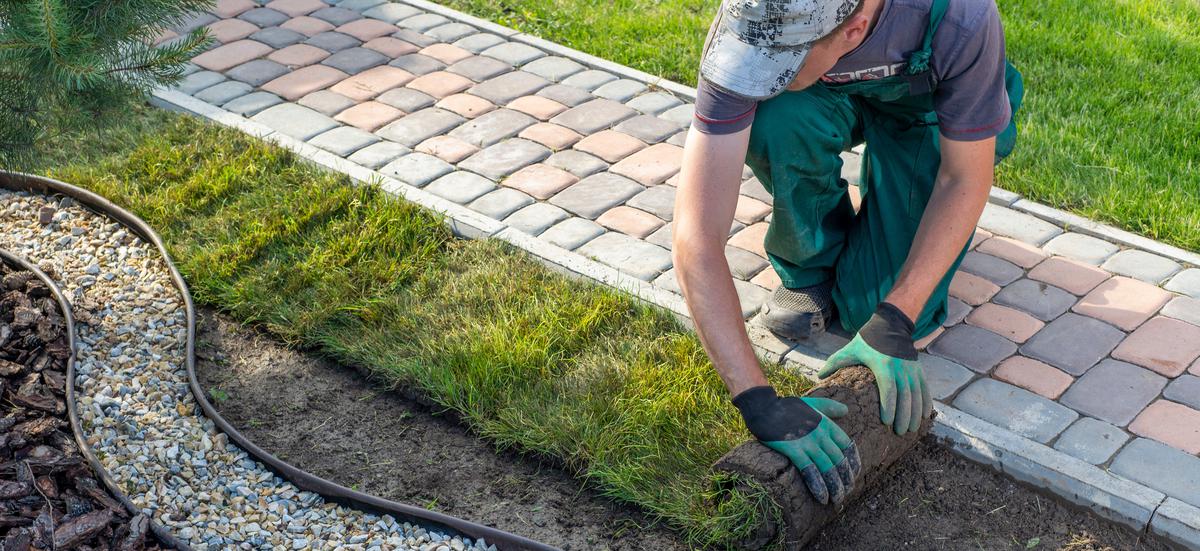 The Top Surprises Homeowners Face When Planning New Landscaping
