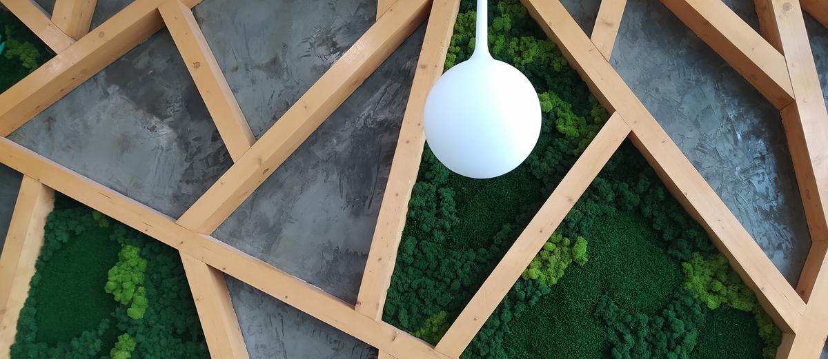 All About Building Your Own Living Wall: A Helpful Guide