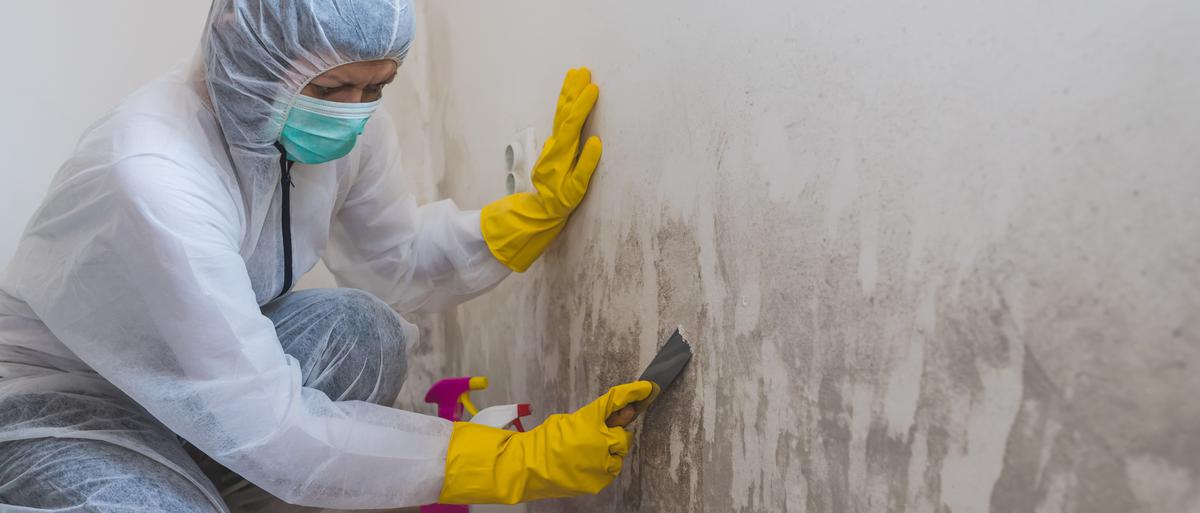 Essential Materials Needed When Removing Mold from a House