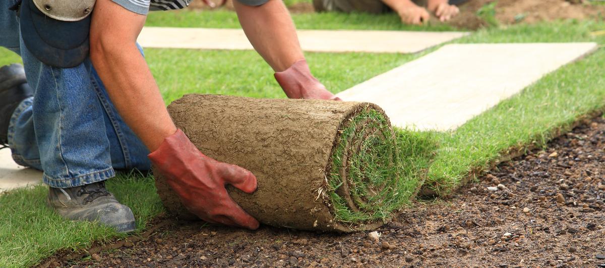 The Power of New Landscaping: Boosting Your Home's Value and Curb Appeal