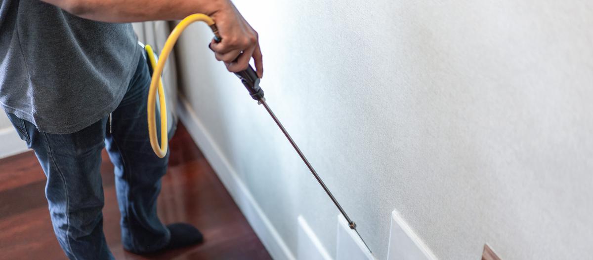 The Shocking Truth About Hiring a Pest Control Company for Rodent or Animal Removal