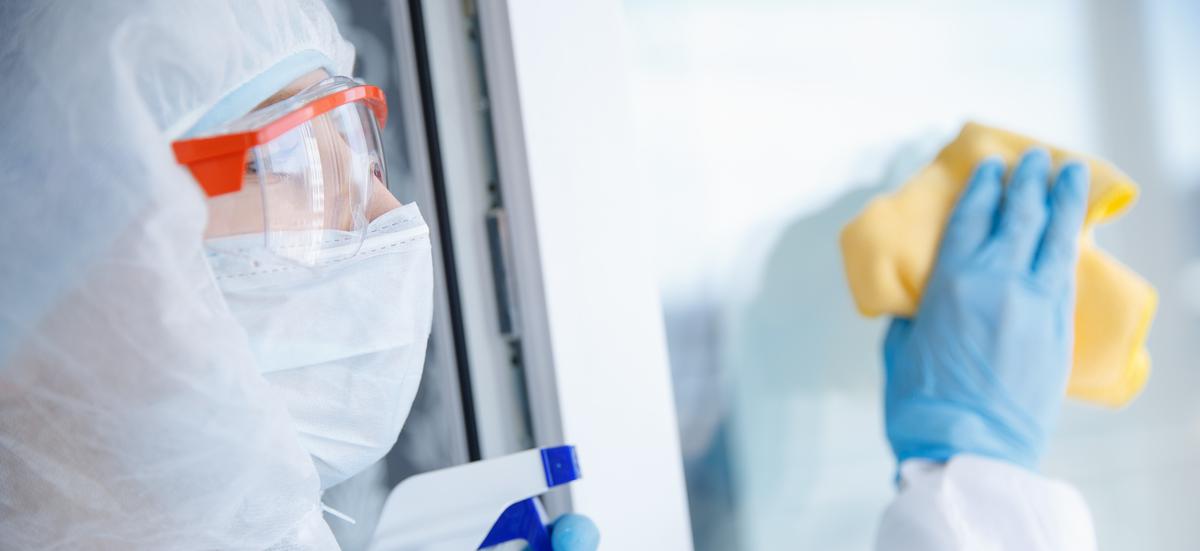 The Unforeseen Surprises of Hiring a Pest Control Company for Mosquito Control