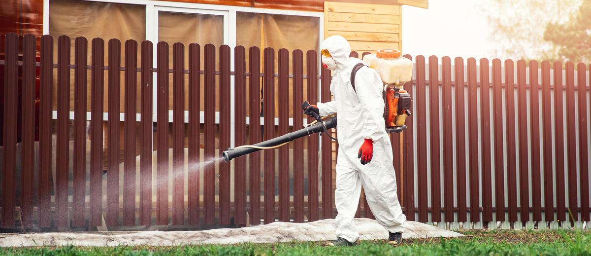 The Unforeseen Surprises of Hiring a Pest Control Company for Bed Bugs