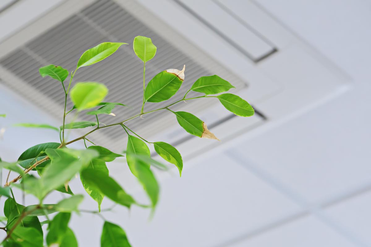 How to Keep Your Air Conditioning From Spreading Viruses