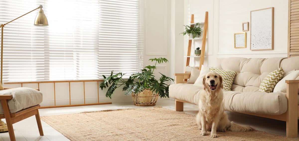 Elevate Your Home's Ambiance with Seasonal Decorations