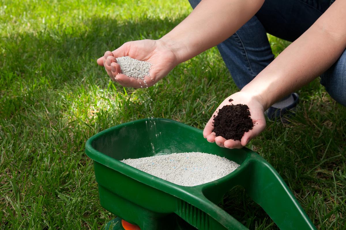 Lawn Fertilization Essentials: Tools and Materials for a Lush, Green Yard