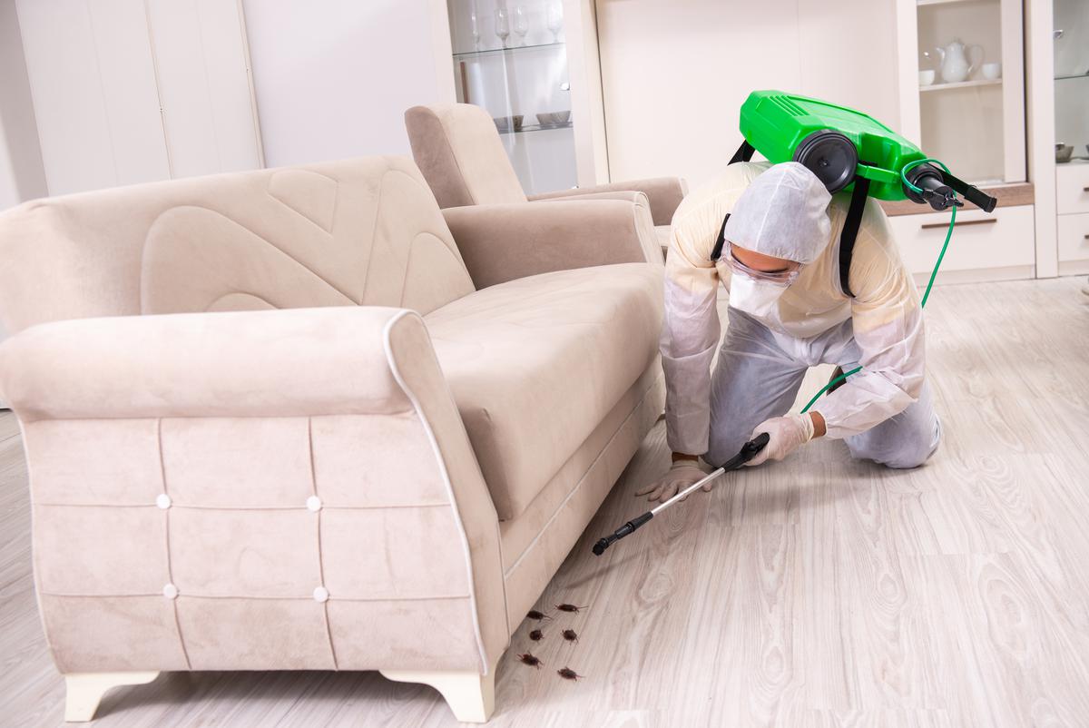 Say Goodbye to Termites: Top Benefits of Hiring a Pest Control Company