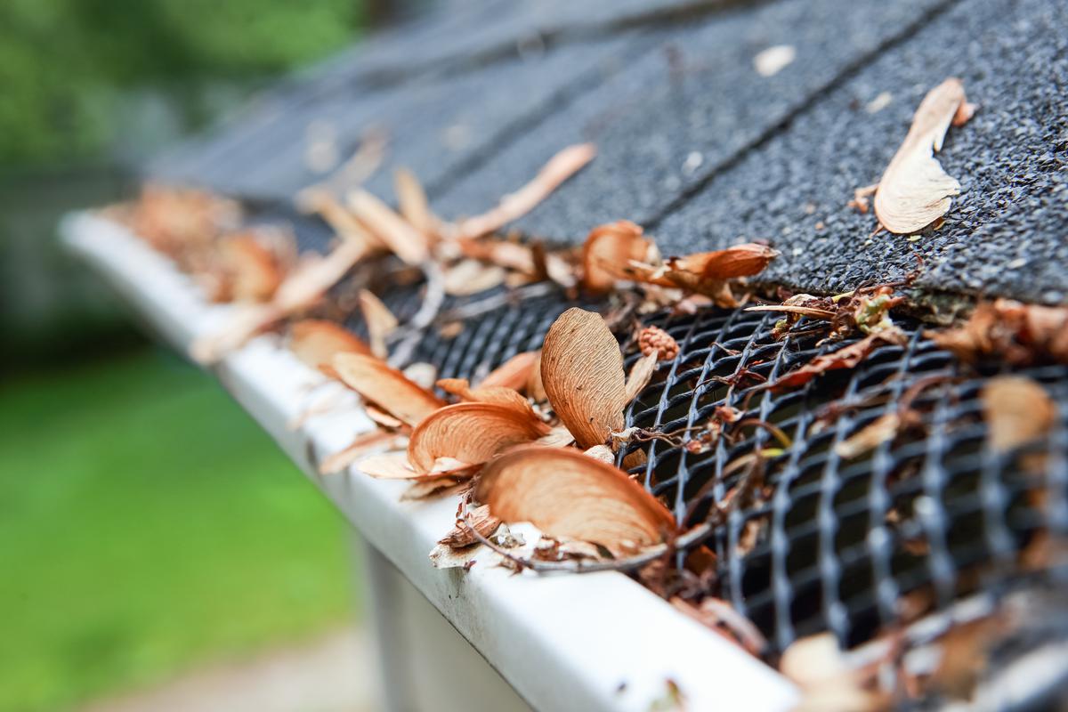 Gutter Covers: A Smart Investment for Homeowners Everywhere