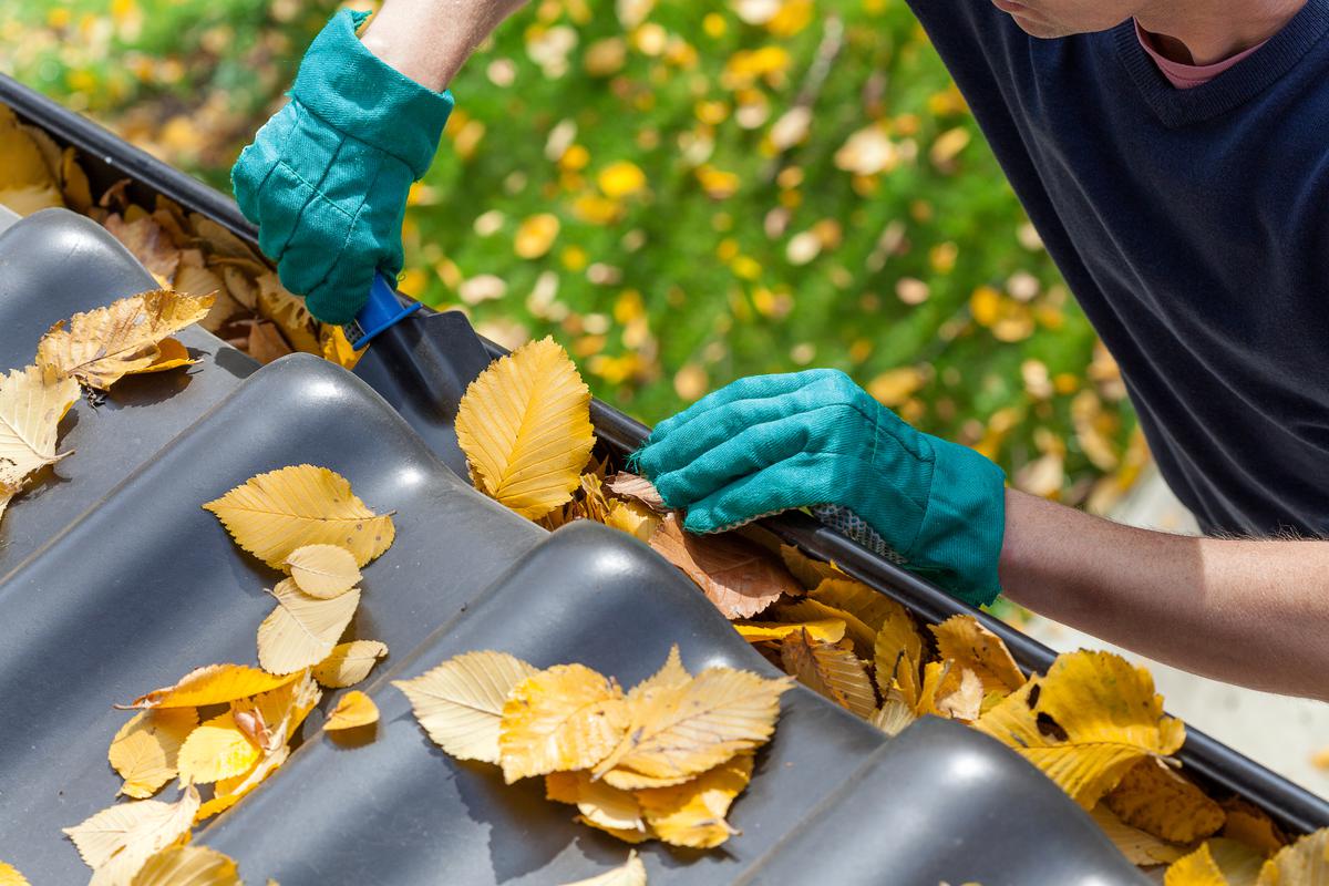 Gutter Cleaning: Unlocking the Perks for Homeowners