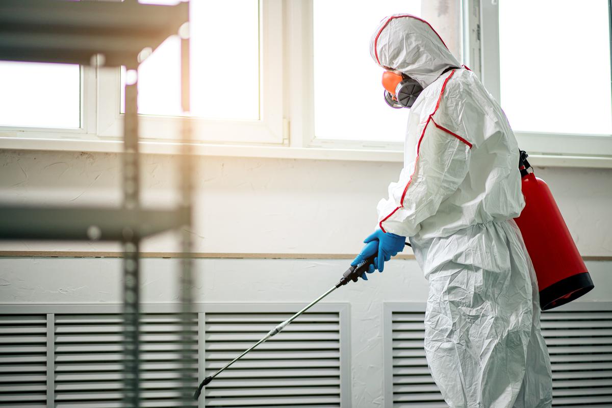 The Hidden Truths about Mold Removal: What Homeowners Should Know