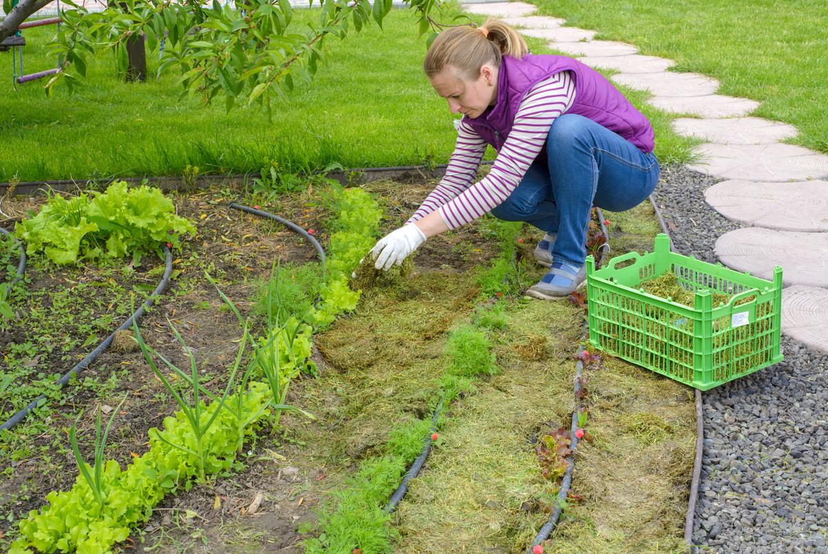 The Top Considerations When Planning Your Landscaping Project