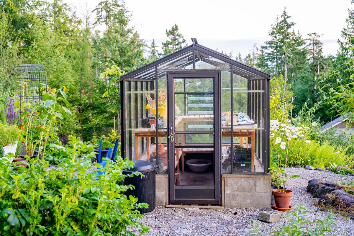 Top Considerations for Building a Greenhouse: A Comprehensive Guide