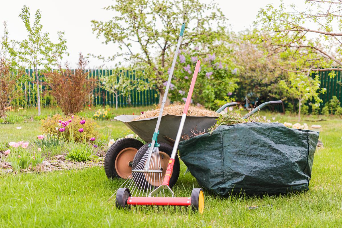 Dethatching Your Lawn: Essential Tools and Materials for a Healthy Yard