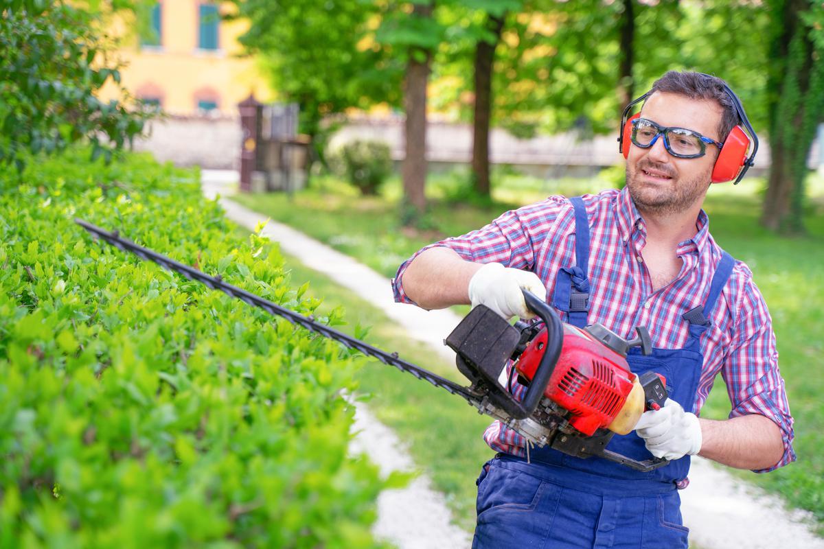 Top 3 Considerations When Hiring a Yard Maintenance Company