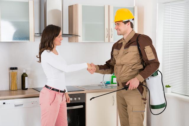 Safeguard Your Sanctuary: How Pest Control Companies Tackle Rodent and Animal Infestations