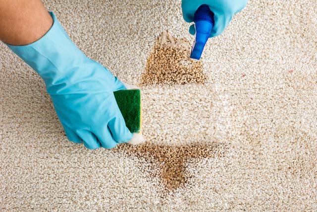 The Top Benefits of Having Your Carpets Cleaned