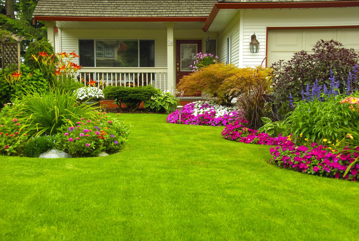Dethatching Your Lawn: Top Considerations for Homeowners